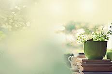 Unduh dan gunakan 10.000+ foto stok latar belakang hd secara gratis. Tanaman Pot Gambar Latar Belakang Ppt Powerpoint Template Free Download