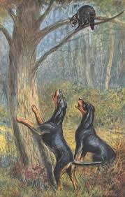 Black And Tan Coonhound For Sale In Michigan Pin On Just A Story