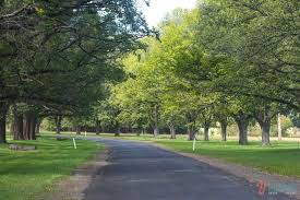Fly to armidale, nsw and get exclusive offers on cheap flights with edreams.com. 2 Days In Armidale Things To See Do In Armidale Nsw