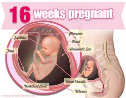 Pin On Pregnancy