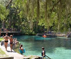 The larger of the two lake county parcels includes 241.11 acres and was bought for $4.34 million from pride homes of north florida llc in 2017, according to the lake county property appraiser. Top 10 Natural Springs In Florida Near Orlando Mommypoppins Things To Do In Orlando With Kids