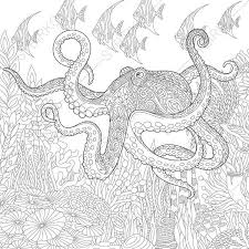 Pin On Drawing I Like
