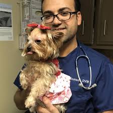 TOP 10 BEST Low Cost Spay Neuter in Frederick, MD