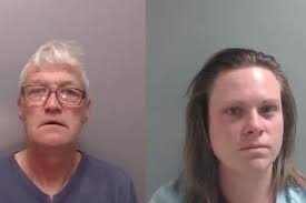 Panic-stricken' pensioner assaulted dog walker she feared was stealing her  pet