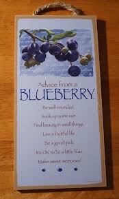 Advice From A Blueberry Country Farmer Market Farm Kitchen Home Decor Sign New Sjt Rusticprimitive Blueberry Farm Strawberry Kitchen Blueberry Gardening