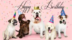 Happy birthday quotes for dog. Super Cute Happy Birthday Wishes For Dog With Pictures