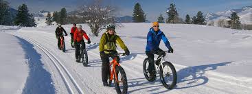 Fat bike