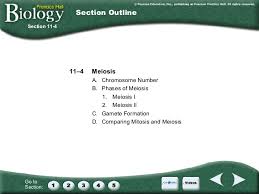 Biology section 11 4 meiosis worksheet answer key. Chapter 11 Introduction To Genetics
