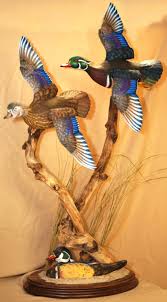 Flying Wood Ducks Etsy Bird Taxidermy Wood Ducks Wood Duck Mounts