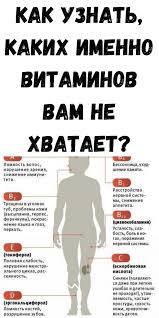 6 типов ожирения и как справиться с каждым из них Pin Na Doske Babushkin Sekrety