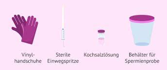 Sind anzahl und beweglichkeit eingeschränkt oder sind sie verformt, bringt die insemination durch das verkürzen des weges zur eizelle den gewünschten erfolg. Wie Funktioniert Eine Heiminsemination