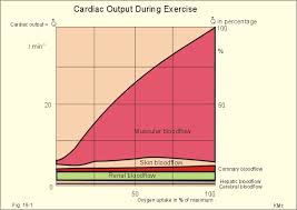 new human physiology ch 18