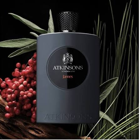 Shop Atkinsons James EDP 100ml | My Perfume Shop Qatar