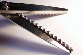 We did not find results for: How Do Pinking Shears Work The Creative Curator