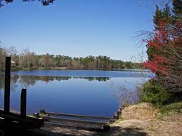 Atsion to quaker bridge loop. Ok But Would Not Return Review Of Wharton State Forest Batsto Nj Tripadvisor