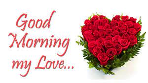 But then i wake up and i'm always proved wrong. Morning Flowers Wallpapers Top Free Morning Flowers Backgrounds Wallpaperaccess