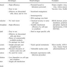 Rk13 rabbit kidney cell line is a suitable transfection host. Pdf Mammalian Cell Transfection The Present And The Future