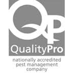 Gaston county is nestled just west of charlotte and home to many towns, including gastonia. Charlotte Pest Control 80 Years Of Carolina Pest Management