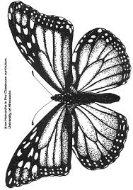 Black And White Stencil Butterfly Outline Butterfly Template Vintage Butterfly Tattoo Glitter Tattoo Stencils Tattoo Stencils