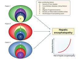 Then there's specifically ps4 visual novels and xbox one visual novels, too. Hepatic Encephalopathy Novel Insights Into Classification Pathophysiology And Therapy Journal Of Hepatology