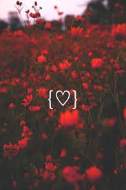 Use coupon sgo10 for 10% off the entire order. Red Aesthetic Wallpaper Wallpaper Sun