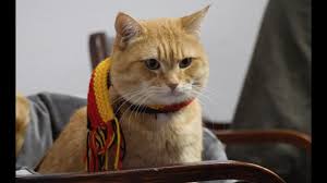 james und bob bei hinz kunzt youtube