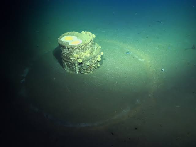 An underwater archival view showing rusted industrial barrels resting on the dark ocean floor amidst debris.