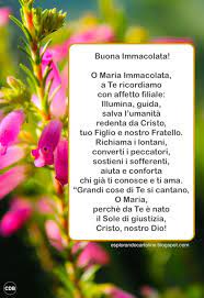 Cdb Cartoline Per Tutti I Gusti Cartolina Cartolina Preghiera Buona Immacolata Co Preghiera Cartoline Auguri Di Buon Compleanno