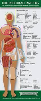 Pin On Gut Health
