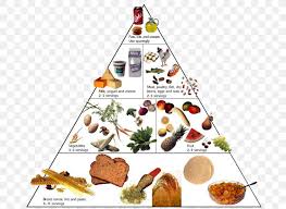 We may earn a commission through links on our site. Nutrient Food Pyramid Healthy Eating Pyramid Healthy Diet Png 690x598px Nutrient Cuisine Diet Dish Eating Download