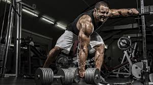 Check out this fantastic collection of gym bodybuilding wallpapers, with 47 gym bodybuilding background images for your desktop, phone or tablet. Desktop Wallpapers Men Gym Muscle Physical Exercise Sport 2560x1440