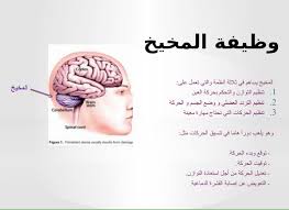 Check spelling or type a new query. Ù…Ø§ Ù…Ø¹Ù†Ù‰ ÙƒÙ„Ù…Ù‡ Ù…Ù…ØªÙ„Ø¦Ø©