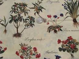 Free for commercial use no attribution required high quality images. Botanical Prints W Latin Plant Names 70s Vintage Floral Print Fabric Botanical Prints Printing On Fabric Floral Prints