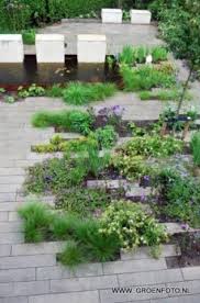 Urbanflora Profile Carrie Preston Garden Design Small Gardens Garden Landscape Design