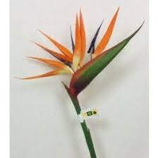 Alibaba.com offers 3,467 tropical silk flowers products. Artificial Bird Of Paradise Flowers Just Artificial