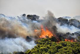 Jun 01, 2021 · φωτιά σημειώθηκε αργά το βράδυ της τρίτης 1 ιουνίου στην κερατέα αττικής. Fwtia Sthn Keratea Beltiwmenh H Eikona Ereynatai To Endexomeno Emprhsmoy Kontranews Gr
