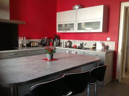 Decorer Les Murs De Ma Cuisine Grise Et Rouge Deco Cuisine Grise Cuisine Mur Rouge Cuisine Grise