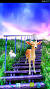 3d Wallpaper Widescreen Waterfalls