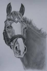 Paardenhoofd Tekening In Stappen Google Zoeken Paard Tekeningen Dieren Tekenen Paardenschets