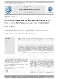 PDF) Histological alterations and biochemical changes in the liver of sheep  following Echis coloratus envenomation