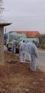 Representantii dsv dolj sunt si ei in alerta si spun ca virusul a fost adus panica a a ajuns si in localitatile invecinate, unde, de frica peste porcine africane, localnicii din macesu de sus, macesu de jos, valea stanciului. ContinuÄƒ Sacrificarea Porcilor In JudeÈ›ul Dolj Pesta PorcinÄƒ Se Extinde Realitatea De Craiova