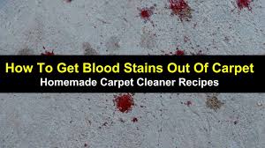 The solutions mentioned work on newer stains. How To Get Blood Stains Out Of Carpet Homemade Carpet Cleaner Recipes