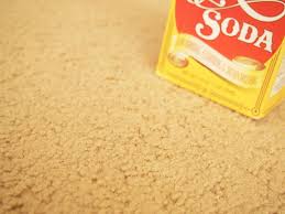 vomit from carpet with baking soda