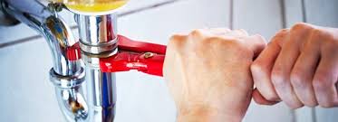 These bugs seem to be present at all times of the year and are a frustrating pest to battle. Answers To Common Plumbing Questions Renovationfind Blog