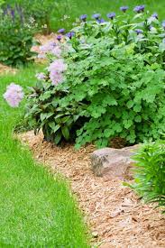 Round up will kill a whole field of weeds that have emerged hen ou can plant right through the weeds. 15 Homemade Organic Weed Killers How To Kill Weeds Naturally