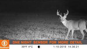Here's our best list of no glow trail cameras on the market today! Bushnell Core Ds No Glow Trail Camera Nhbs Wildlife Survey Monitoring