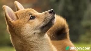 Follow the live price of doge, track changes in usd, eur, jpy, krw, and more. A Mysterious Dogecoin Address Absorbed 27 Of The Supply The Top 20 Addresses Captured 50 Altcoins Bitcoin News