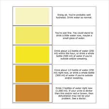 Printable Urine Color Chart Color Of Urine Water For Health Water Intake Chart