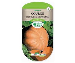 Courge Musquee De Provence