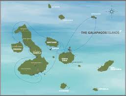 Meaning of endemic in english. M C Endemic Galapagos Luxury Catamaran Andando Tours